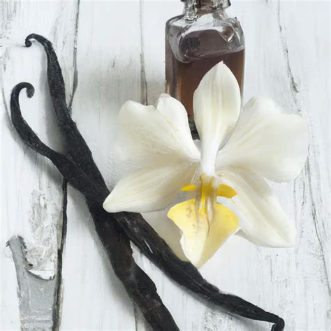 The spiritual Meaning of smelling smoke is complex. . What does it mean when you smell vanilla spiritually